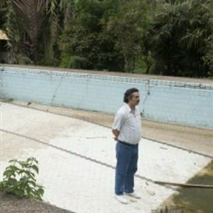 Meet your Posher, Andy